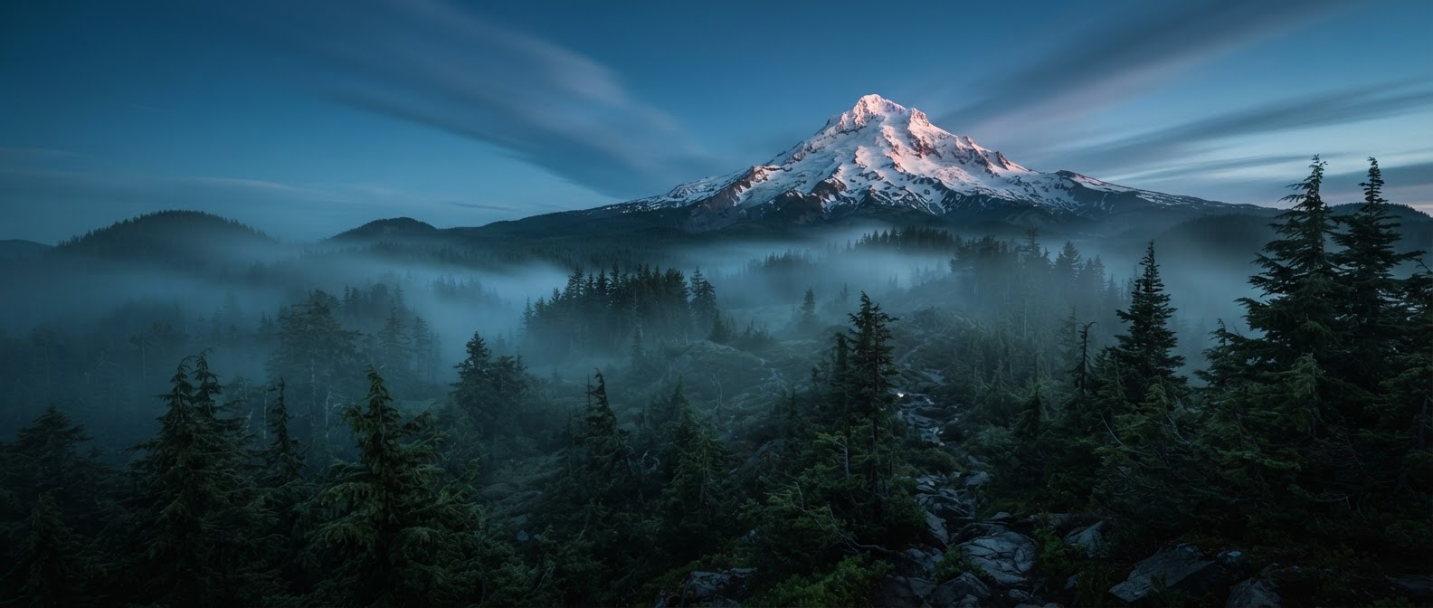 Mount Hood, Oregon at blue hour with mist rolling through pine forest